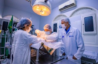 Programa de castração pet de Arapiraca se torna o maior de Alagoas