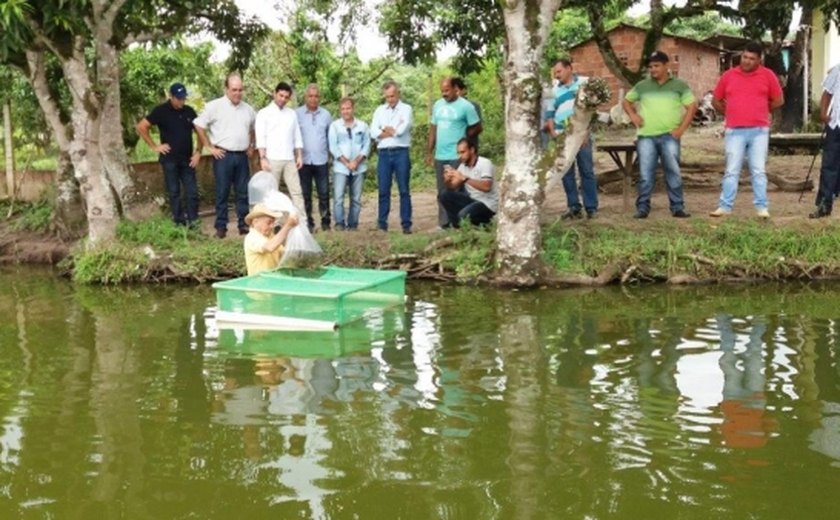 Produtores de São José da Laje recebem kits de irrigação e alevinos