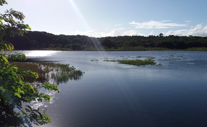 APA da Marituba do Peixe, o Pantanal alagoano, em Penedo