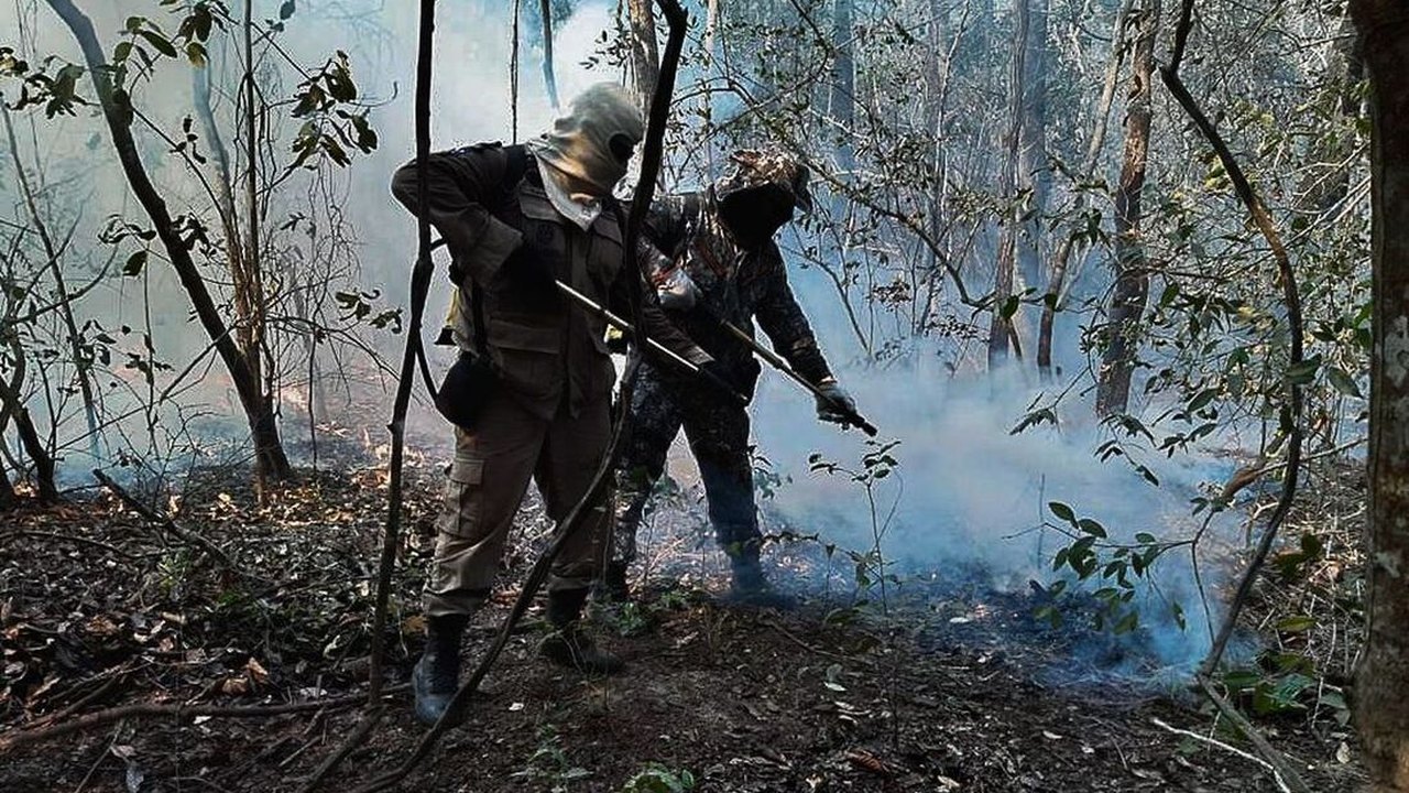 Incêndios queimaram 30% de área do Pantanal em 2020, mostra estudo