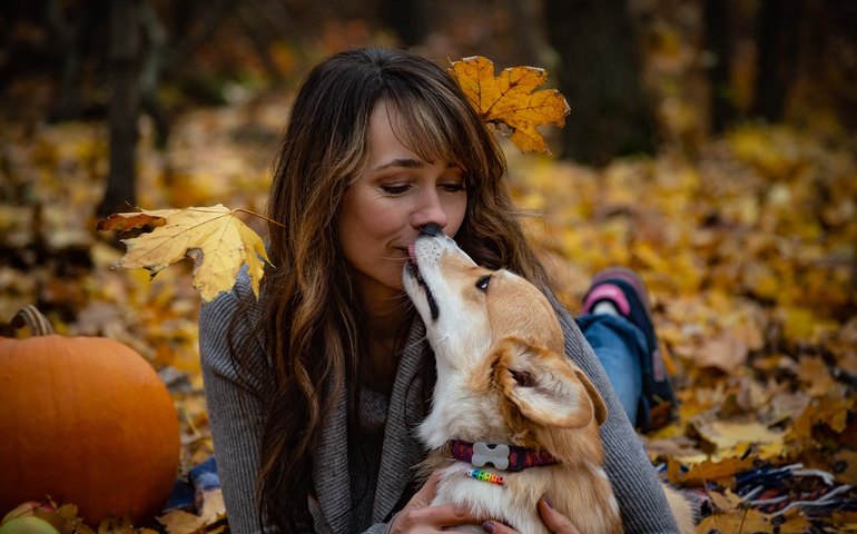 Cuidado com os beijos que você dá e recebe dos pets