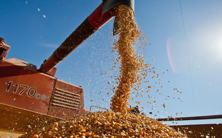 Tarifaço de Trump atinge agricultura dos EUA: setor apresenta pior resultado desde 2021, diz mídia