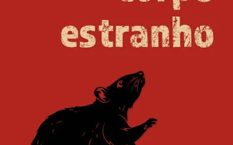 Quando o estranho revela o Brasil: contos sobre o que habita à margem do visível