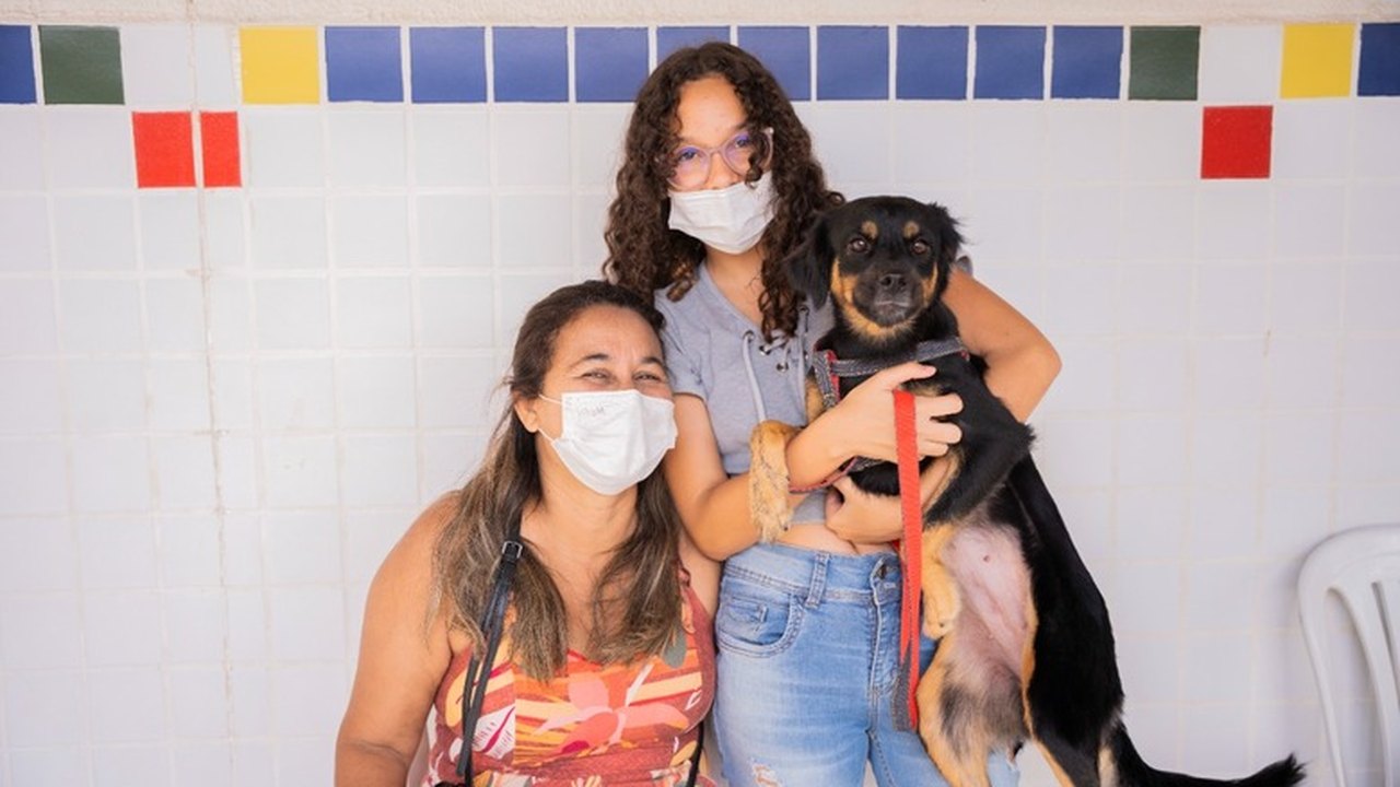 Pets de protetores de Arapiraca passarão por triagem gratuita neste sábado
