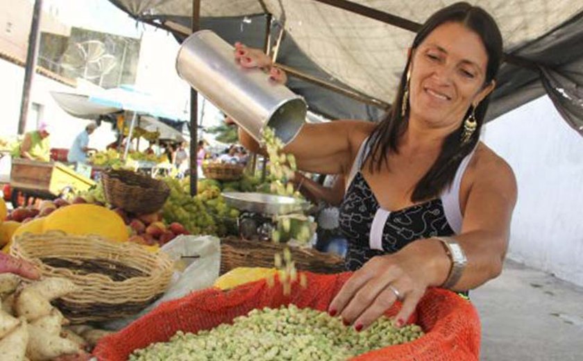 Dia do Feirante: centro de negócios, Arapiraca possui 12 feiras