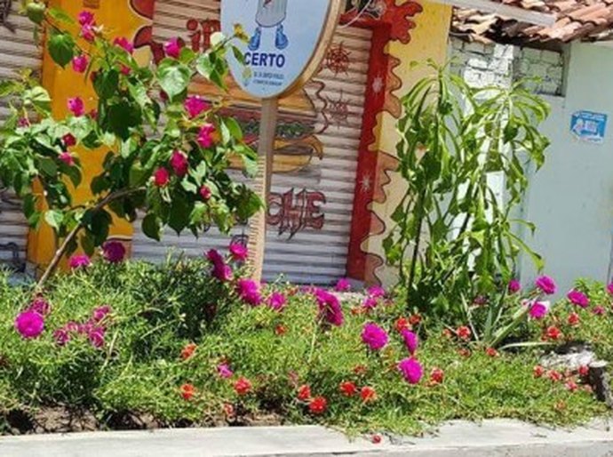 Comunidade e prefeitura de Coruripe trabalham juntas para deixar a cidade mais bonita