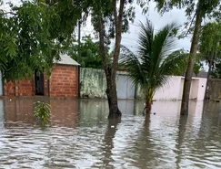 WhatsApp Image 2026-03-02 at 17.10.34.jpeg 