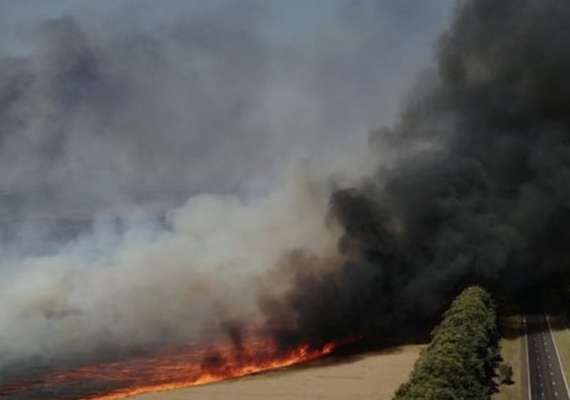 Número de presos por incêndios em São Paulo sobe para quatro