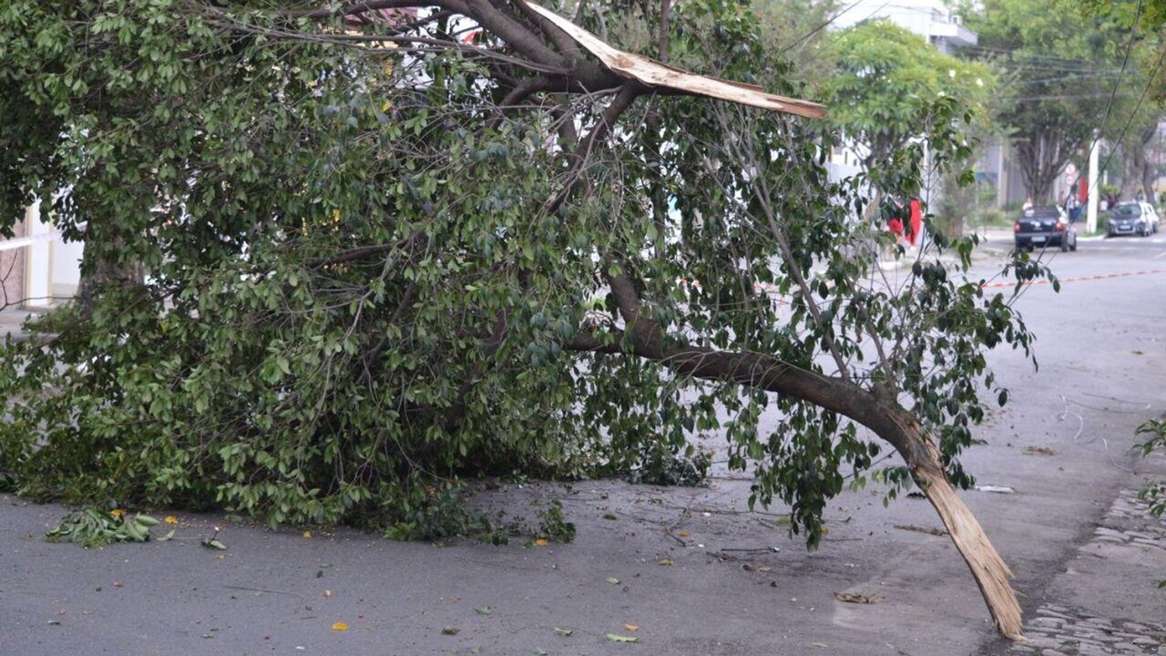 Chuva forte e ventos de 80 km/h deixam estragos em São Paulo e região metropolitana (VÍDEOS)