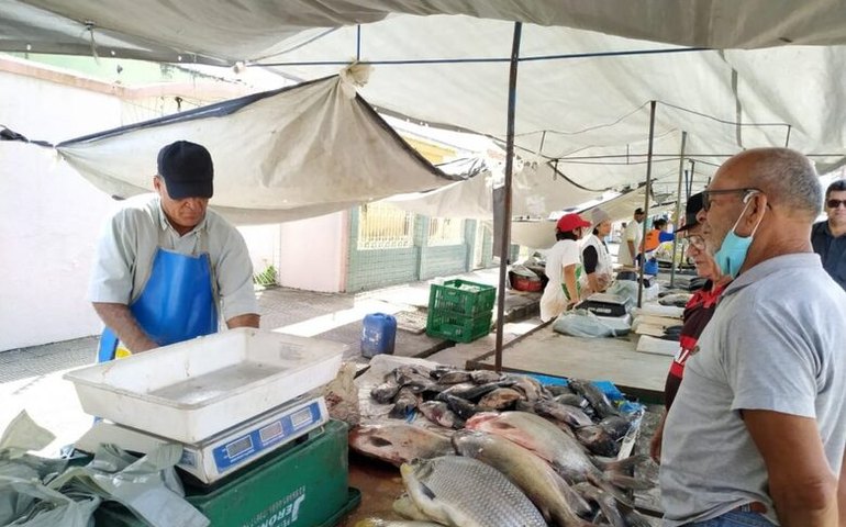 Prefeitura antecipa feiras livres para os dias 24 e 31 de dezembro