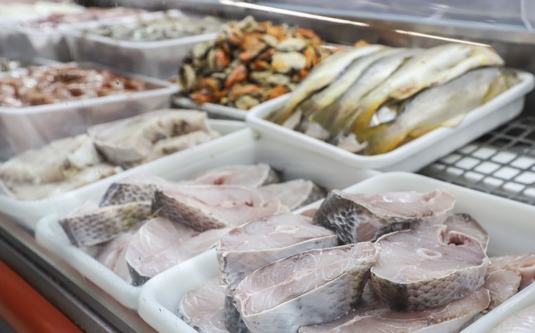 Abipesca cobra governo por retomada de exportação à UE em alternativa à exportação aos EUA