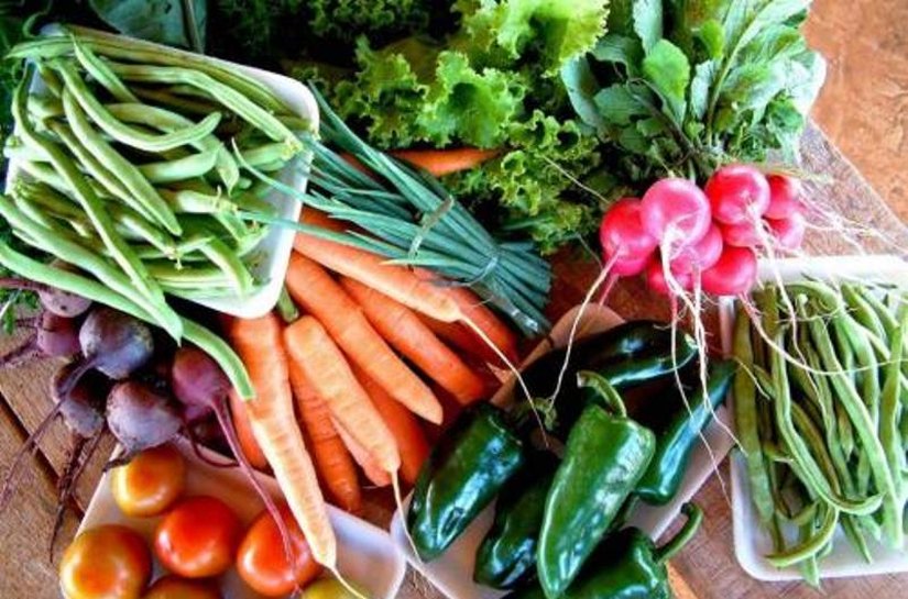 Prefeitura apoia a realização da oitava edição da Cajurural  em Cajueiro