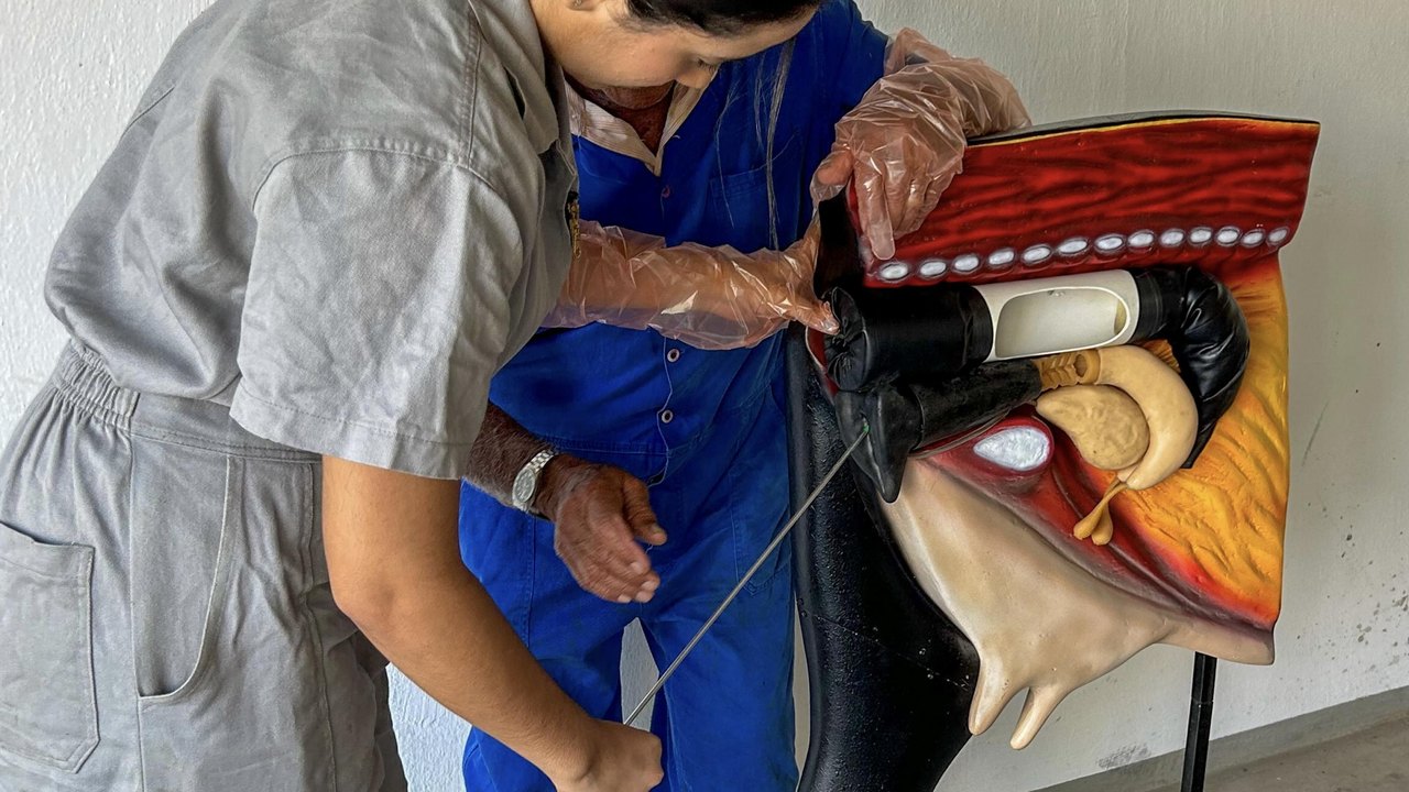 Curso de Inseminação Artificial capacitou mais de 120 alunos em 2024