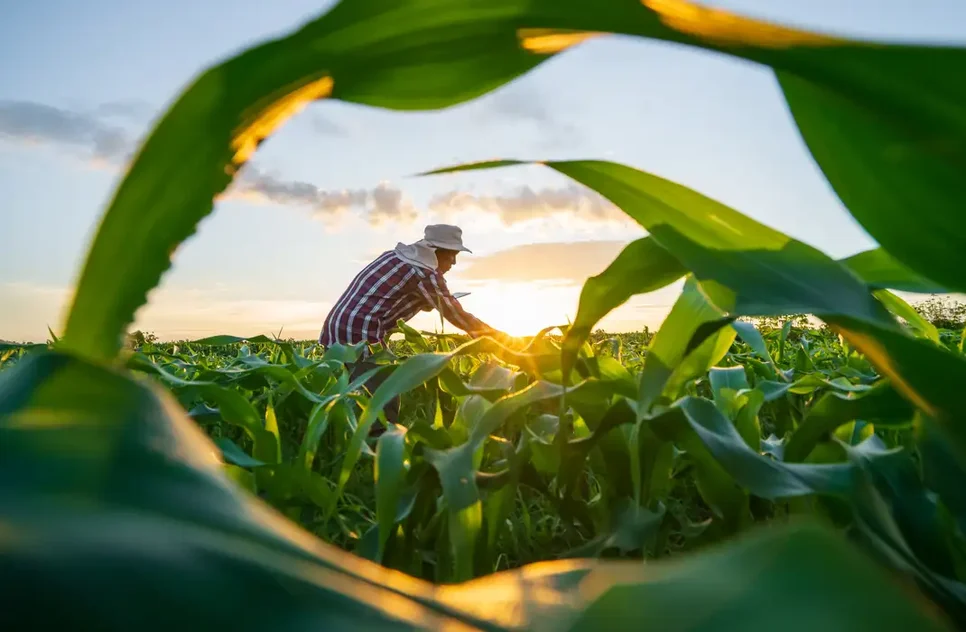 adobestock_621171608 / Foto: Foto: attasit_saentep/ Adobe Stock