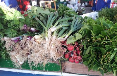 Feira Agroecológica estimula comércio de orgânicos