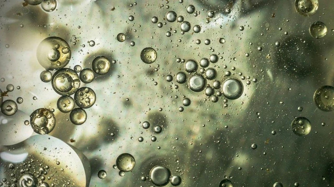 Alemanha busca eliminar 'químicos eternos' da água