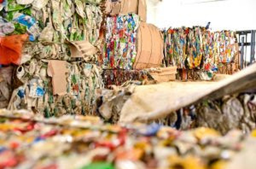 Estudo aponta que brasileiros priorizam consciência ambiental na hora de reciclar