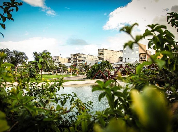 Arapiraca - Nota da Prefeita Célia Rocha