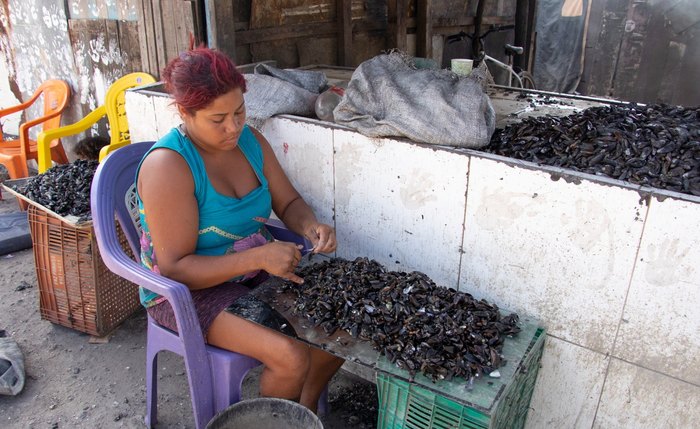 Projeto beneficia comunidade de marisqueiras com o reaproveitamento das conchas do sururu