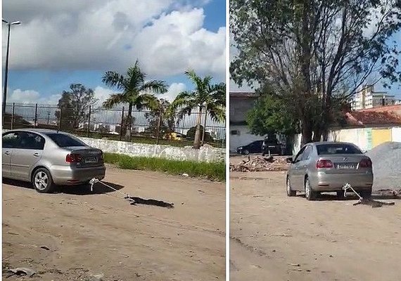 Polícia identifica motorista que arrastou cachorro pelas ruas de Maceió