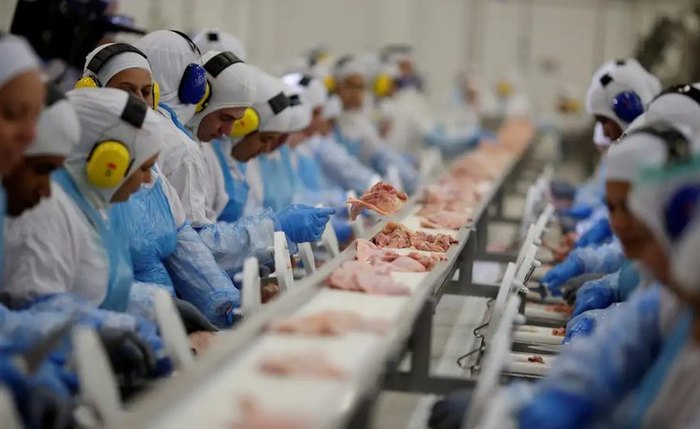 O Brasil é o maior exportador de carne de frango do mundo, responsável por cerca de 35% do mercado global