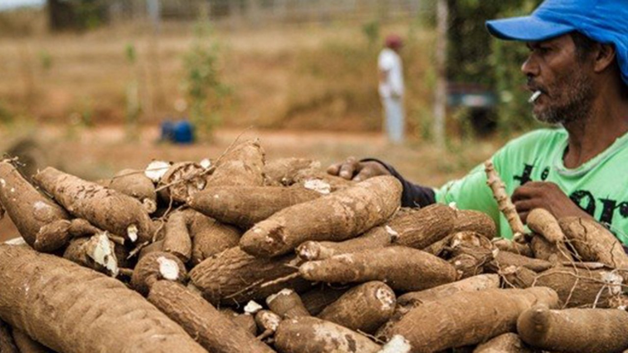Associação de Lagoa da Canoa comercializa R$ 566 mil em programa