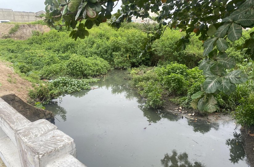 IMA cobra da Prefeitura de Arapiraca plano de manejo para jacarés