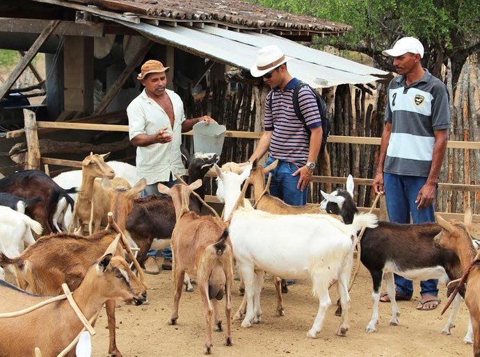 Cafisa conclui registro no Sistema OCB/AL