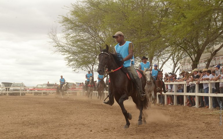 Arapiraca sedia grande evento de mangalarga marchador