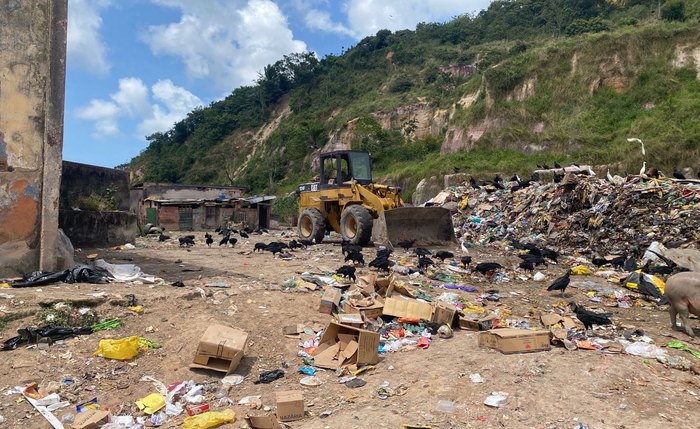 MPAL pede multa e responsabilização da prefeita e secretários por crime ambiental