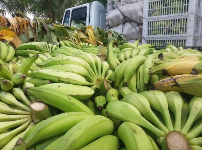 Agricultores familiares vendem produções em nova etapa do PAA