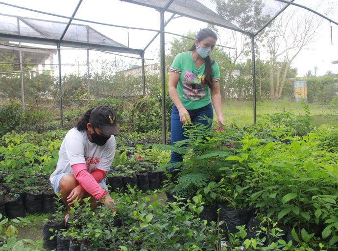 Projeto Amanhã colhe seus primeiros frutos e destina alimentos aos abrigos de Arapiraca