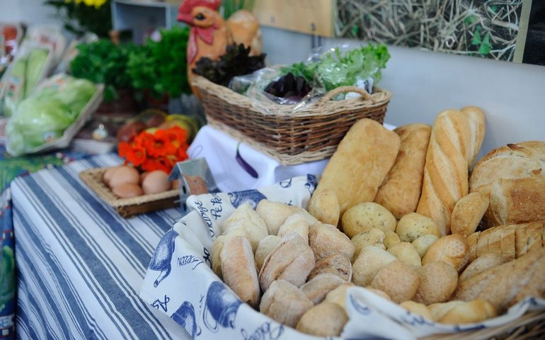 Indústria de alimentos e bebidas cresce 8% em 2025, aponta Abia