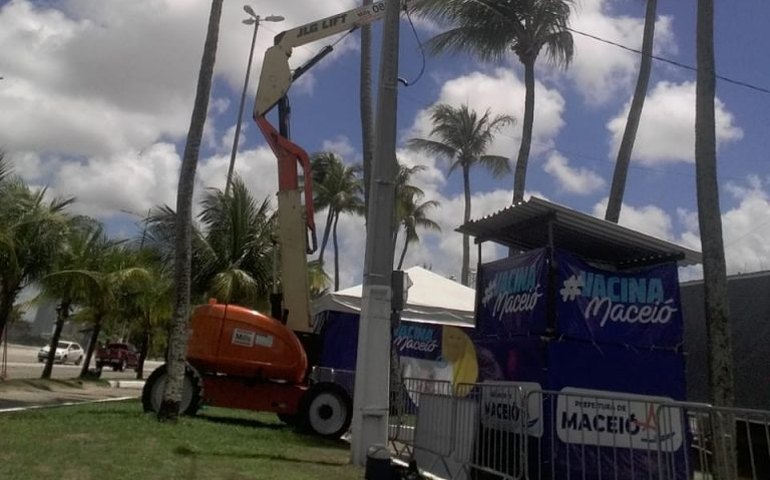 Como forma de prevenção, Prefeitura intensifica poda de árvores em toda a cidade