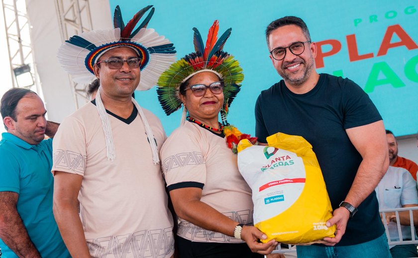 Planta Alagoas: agricultores começam a receber sementes na janela de plantio ideal
