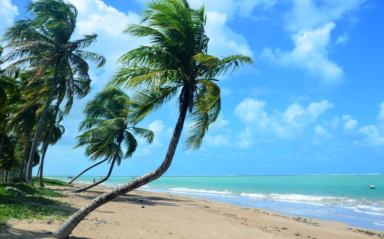 Seis destinos imperdíveis para viajar com o Sesc em Alagoas; confira