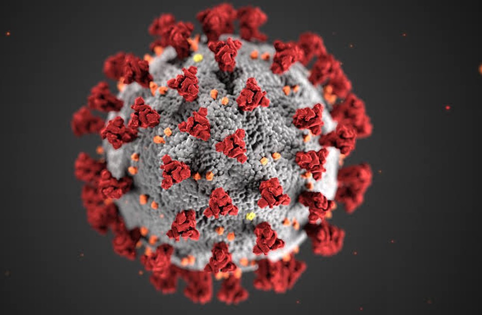 Coronavirus