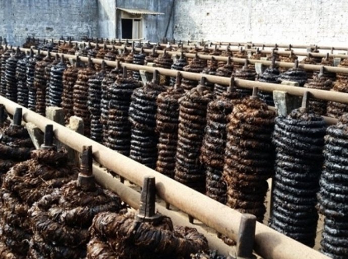 George Santoro assina norma para reduzir cálculo do ICMS na venda do fumo de corda