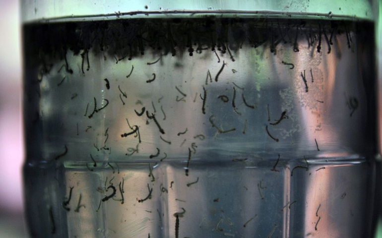 Com alta de casos, governo cria centro para monitorar dengue