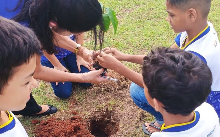 Prefeitura incentiva práticas sustentáveis com programação da Semana do Meio Ambiente