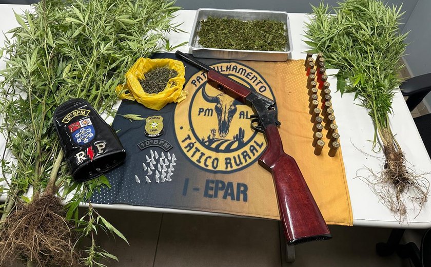 Polícia prende homem com plantação de maconha e arma de fogo em Palmeira dos Índios