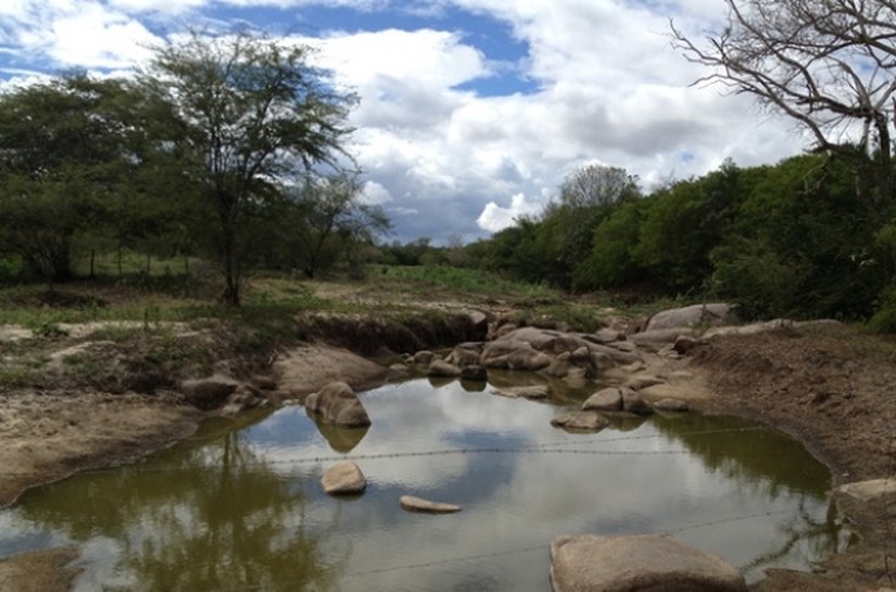 AL sedia seminário e curso internacional de convivência com o Semiárido