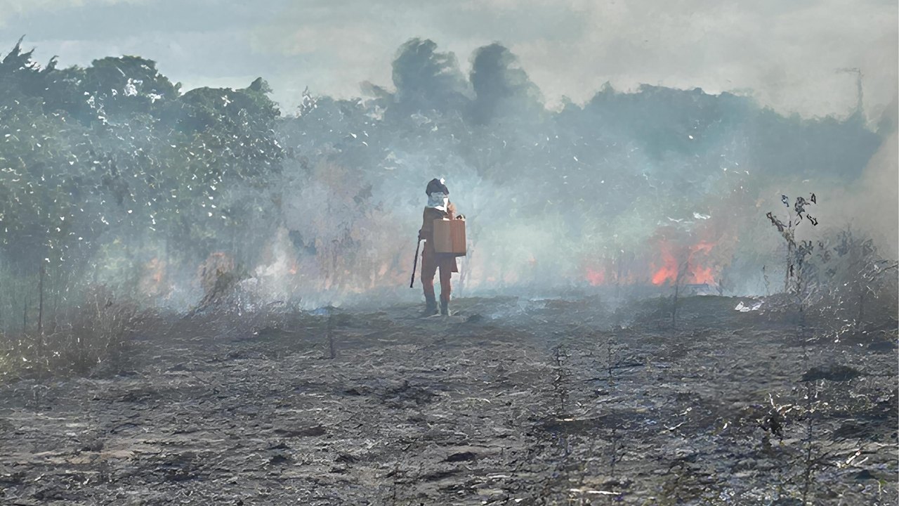 Bombeiros combatem incêndio em vegetação próxima a tubulações da Petrobras