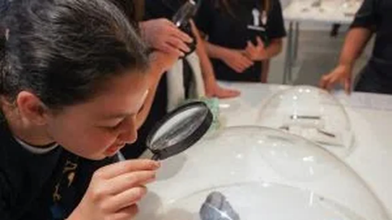 Ciência no cotidiano: Prêmio Renova convoca estudantes do ensino médio e técnico a explorar criatividade com metais