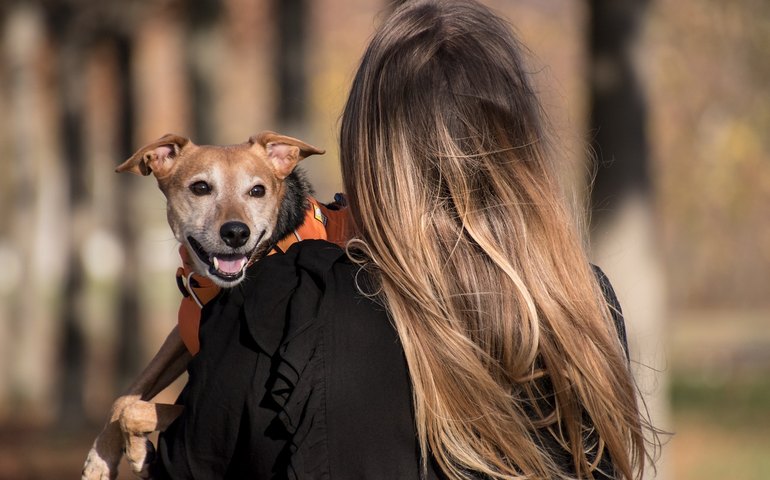 Adotar um pet é ato de amor que precisa ter muita responsabilidade
