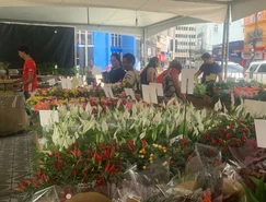 WhatsApp Image 2026-04-14 at 13.26.32 (1).jpeg 