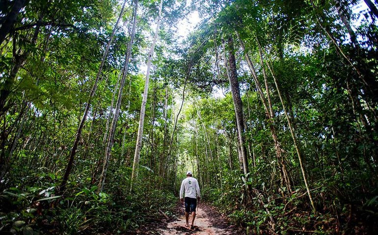 CRA discute manejo florestal no bioma amazônico