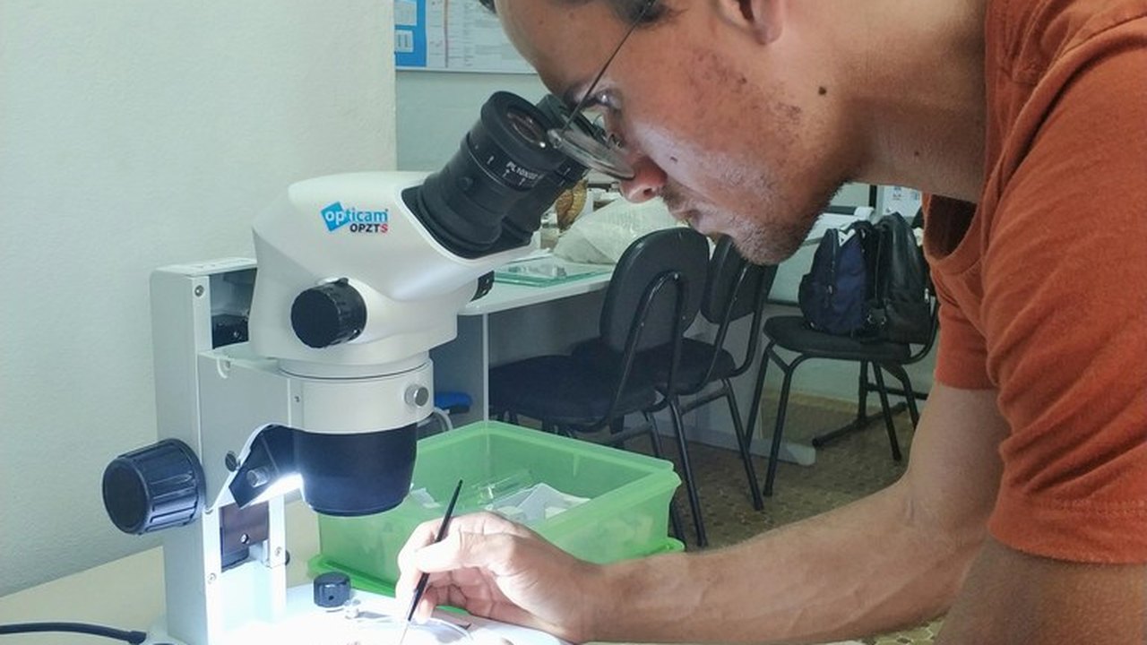 Estudante da Ufal é aprovado em 1º lugar em mestrado da UFPR