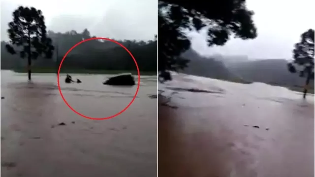 Vídeo mostra momento em que três amigos se abraçam antes de serem levados por enchente na Itália; assista