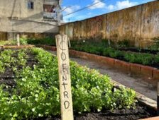 WhatsApp Image 2025 05 09 at 10.12.19 1 225x300